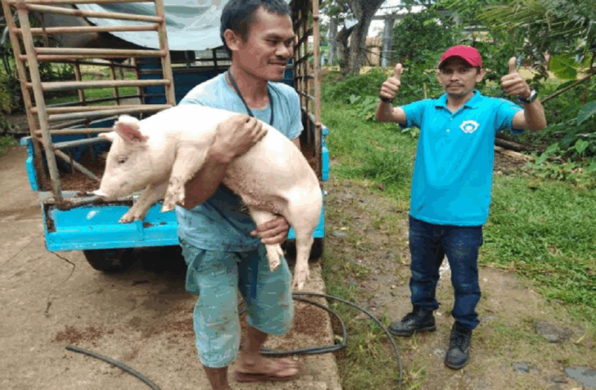 Source: Aboitiz Equity Ventures